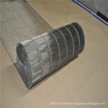 Stainless steel wire mesh conveyor belt with ladder